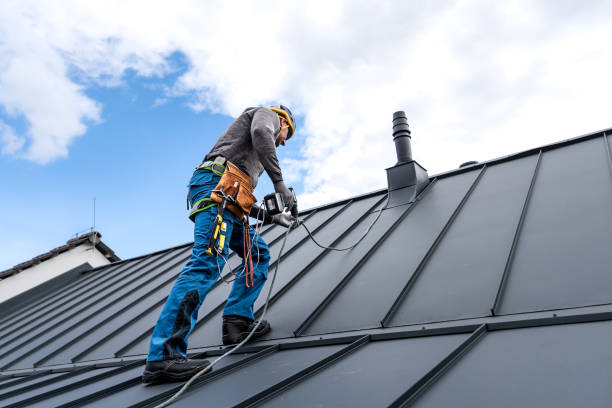 Best Skylights  in Lynwood, CA