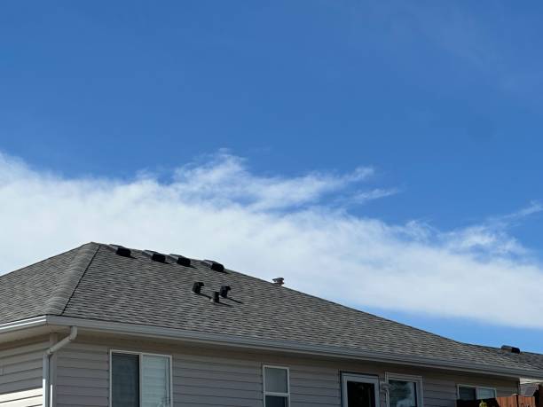 Fast & Reliable Emergency Roof Repairs in Lynwood, CA