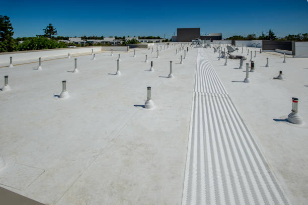 Best Emergency Roof Repair Services  in Lynwood, CA